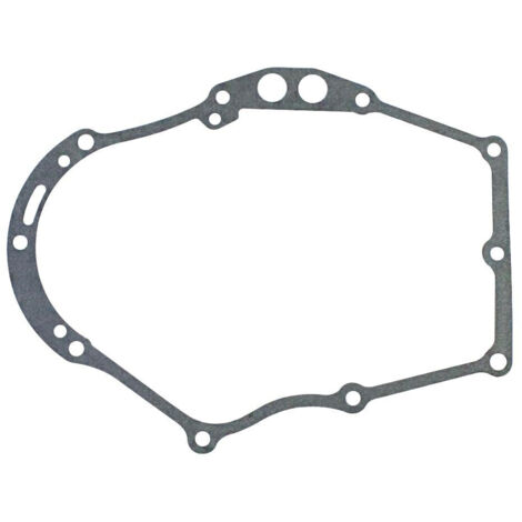 LONCIN Guarnizione flangia bicilindrico 2P82F 560065