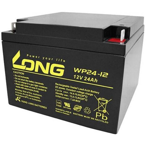 Long  WP24-12 WP24-12 Batteria al piombo 12 V 24 Ah Piombo-AGM (L x A x P) 166 x 125 x 175 mm Vite M5 certificazione VDS,