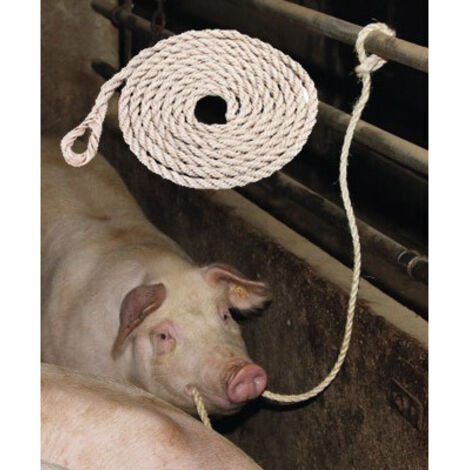 Longe bovins UNBRANDED VV29544