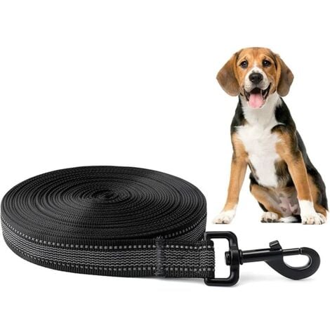 Longe pour Chien, 5m  10m  15m  20m, Laisse Chien 10m avec Poignée et Sac de Rangement Longue Corde Chien, Laisse Longue Caoutchoutée, Antidérapante et Robuste pour Petits à Grands Chiens