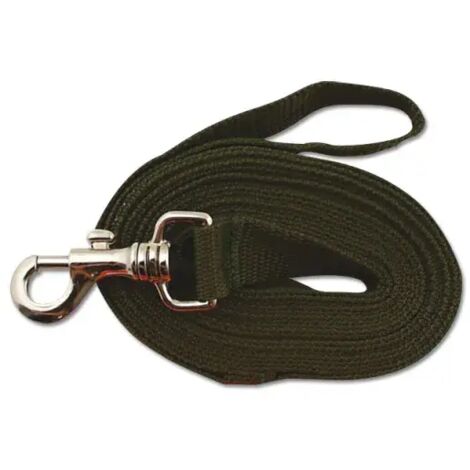 Longe pour chien 5m kaki ou orange