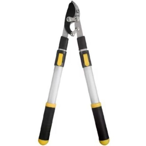 Longue Branche Élagage Cisaillement Jardinage Arbre Fruitier en Acier Ciseaux de Jardin Extensible