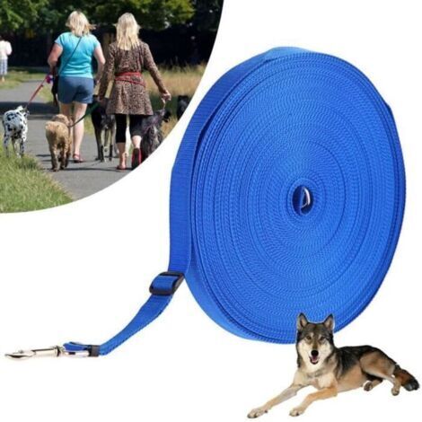 Longue laisse Longe pour chien 20m Sangle de dressage Laisse de dressage Réglable pour chien Idéal Promenade ou arrimage Bleu