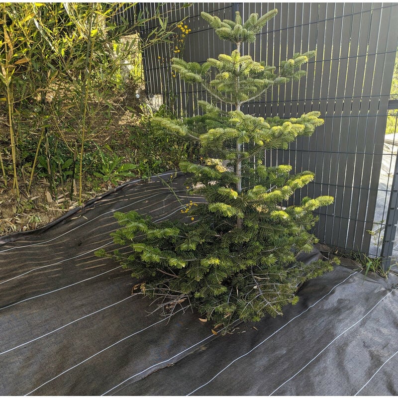 Longueur 20m / Largeur 3,3m / Coloris Marron / 130gr/m2