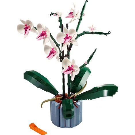 L’Orchidée Plantes avec Fleurs Artificielles d'Intérieur pour Décoration de Maison, Loisirs Créatifs pour Adultes, Collection Botanique Ternel