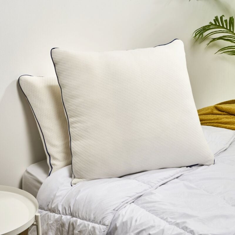 Bleu Calin - Oreiller Mémoire de forme Mixte Premium 65x65cm