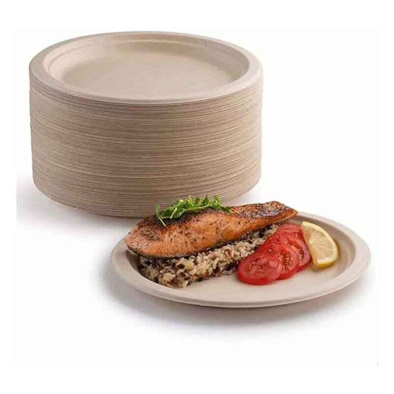 Sunxury - Lot 100 assiettes en carton super rigides 100 % biodégradables et compostables respectueuses l'environnement très résistantes recyclables,