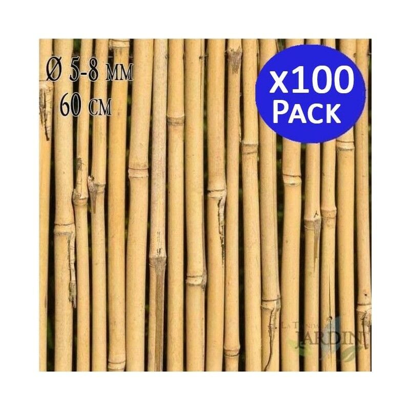 Tuteur en Bambou 60 cm, 5-8 mm (Pack 100). Baguettes de bambou, canne de bambou écologique pour soutenir les arbres