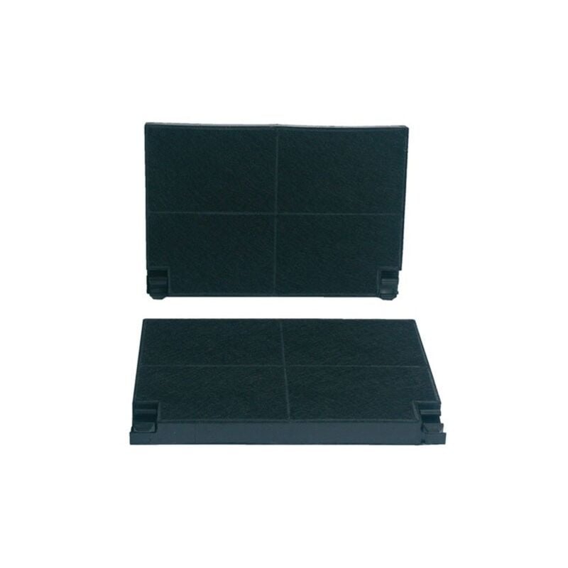 Lot 2 filtres charbons ROBLIN 5403002 225X155X20 mm
