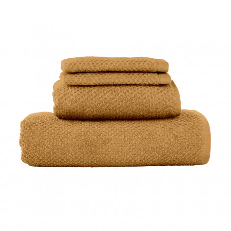 Lot 2 serviettes de bain et 2 gants de toilette
