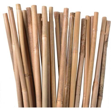 Lot 25 x Tuteurs en Bambou 180 cm, 12-14 mm. Tiges de bambou, canne de bambou écologique pour maintenir les arbres, les plantes,