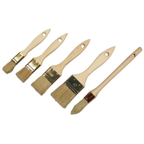 Lot 5 Pinceaux Fsc100% Pro - Savy