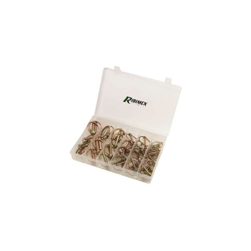 Ribitech - Lot 50 goupilles clips en coffret