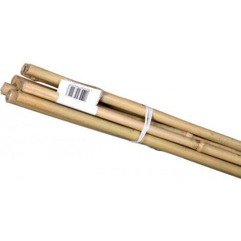 Lot de 10 bâtons de bambou 150 cm – Diamètre 6 à 14 mm – Treillis naturel pour soutien plantes – Usage intérieur et extérieur – Bauherr