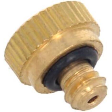 Lot de 10 buses brumisation en laiton - Filetage 0,6 mm Tête rechange pour système refroidissement extérieur 10PCS 0.3
