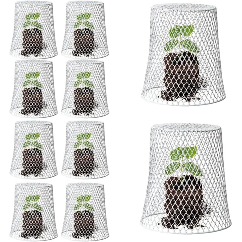 Lot de 10 cloches de protection en métal pour plantes - Pour garder les lapins, poulets, écureuils, oiseaux à l'extérieur (blanc)
