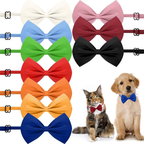 Lot de 10 colliers pour chiens en chats