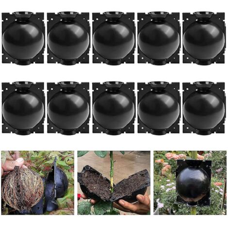 Lot de 10 dispositifs d'enracinement pour plantes, boîtes de culture pour la propagation des racines, boules d'enracinement réutilisables - Noir