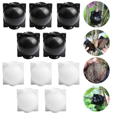 Lot de 10 dispositifs d'enracinement pour plantes, boîtes de culture pour racines, boules d'enracinement réutilisables - Blanc