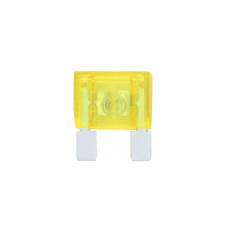 Lot de 10 Fusibles Magnum 20A