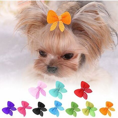Lot de 10 nœuds en épingle à cheveux pour animal domestique