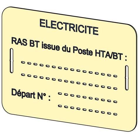 Lot de 10 plaques d'identification RAS BT MICHAUD BC004