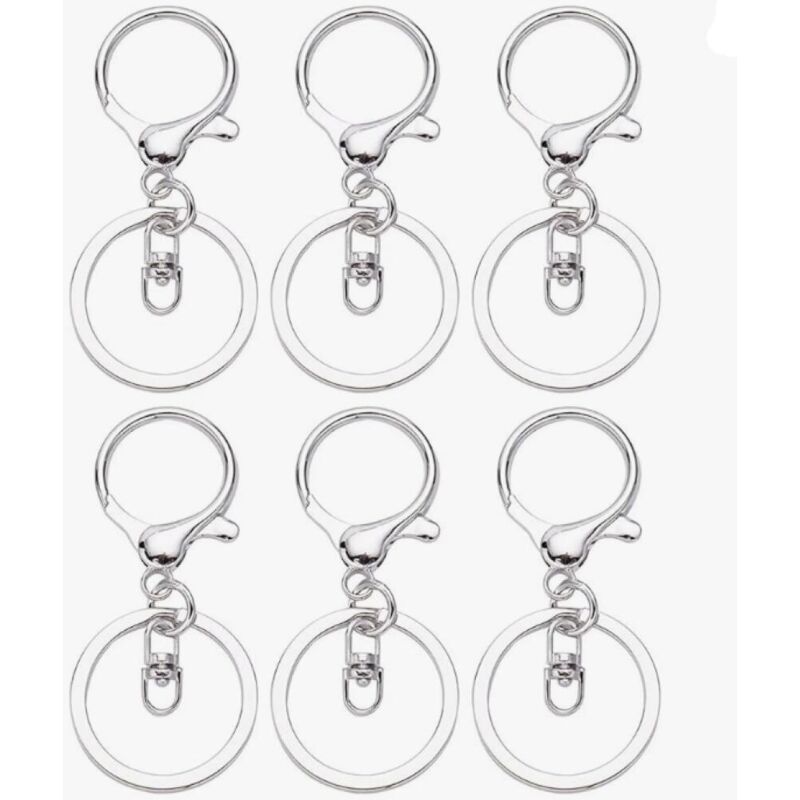 Lot de 10 porte clés en métal Mousquetons avec anneau porte clés en alliage de zinc Fermeture rapide Mousquetons pour trousseau de clés Argenté