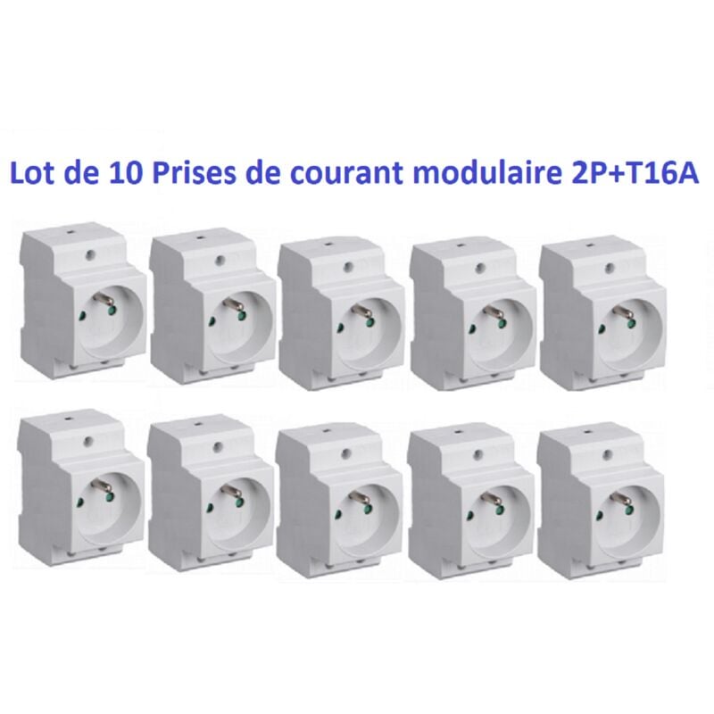 Lot de 10 Prises de courant modulaire 2P+T 16A