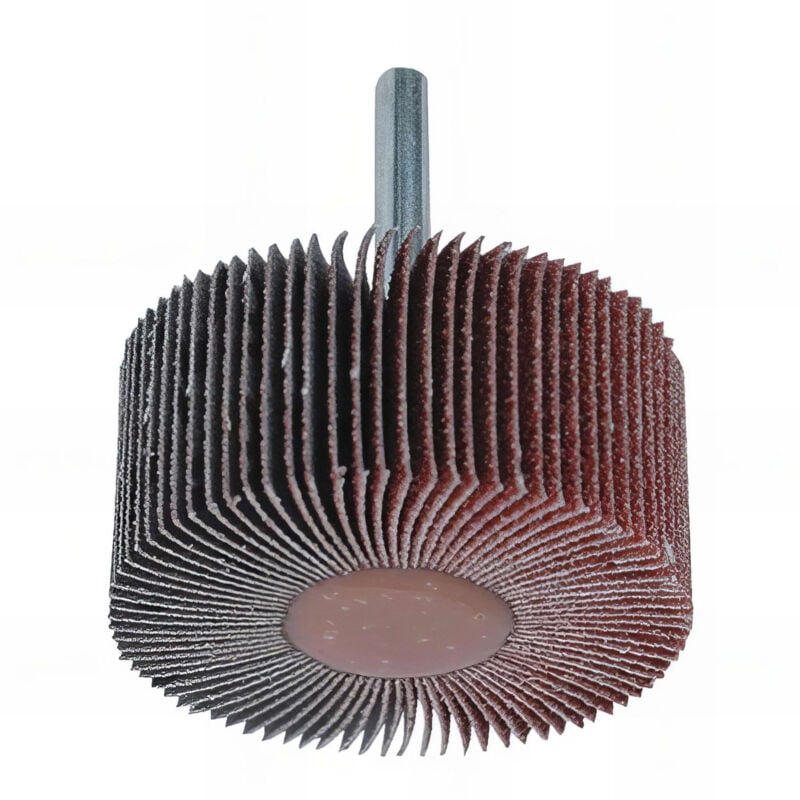 Lot de 10 roues à lamelles corindon pour bois et métal - d. 30 x l. 15 mm Gr. 120 - 9931512 Leman