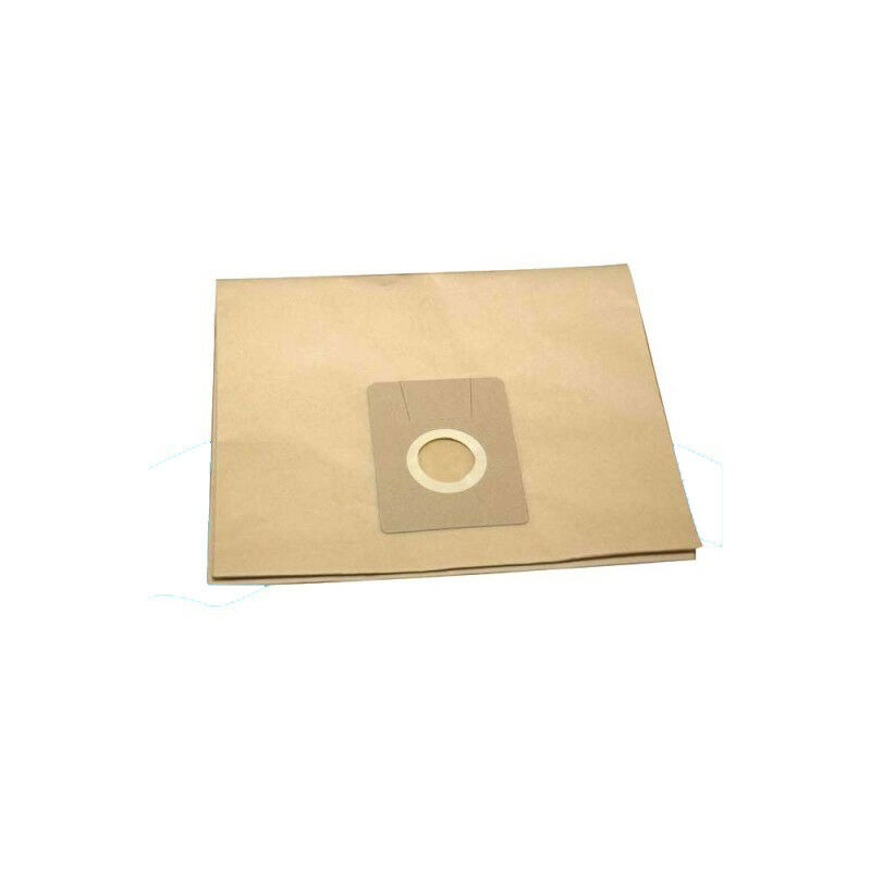 Lot de 10 sacs en papier grand format double épaisseur pour aspirateur eau et poussières Leman