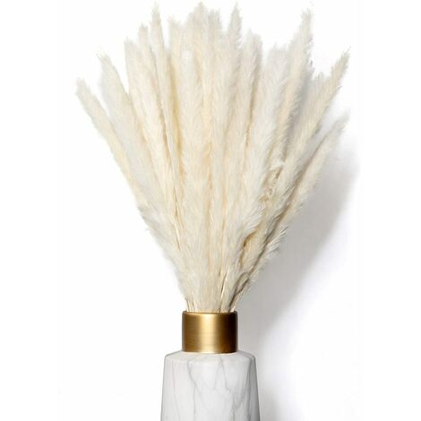 Lot De 10, Séchées, Herbe De Pampa, 50 Cm, Naturel, Herbe De Pampa, Séché, Pampa, Herbe De Pampa, Naturel, Roseau, Séché, Fleurs Séchées, Herbe De Pampa, Pour, Décoration D'Intérieur
