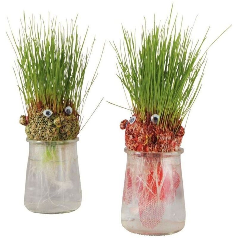 NC - Kit d'activité : Je fabrique ma tête à pousser