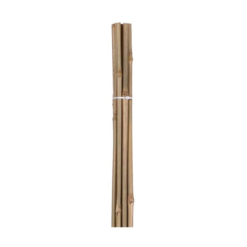 Notre Selection - Lot de 10 tuteurs en bambou H90cm x D8/10 - 16566 - Noir