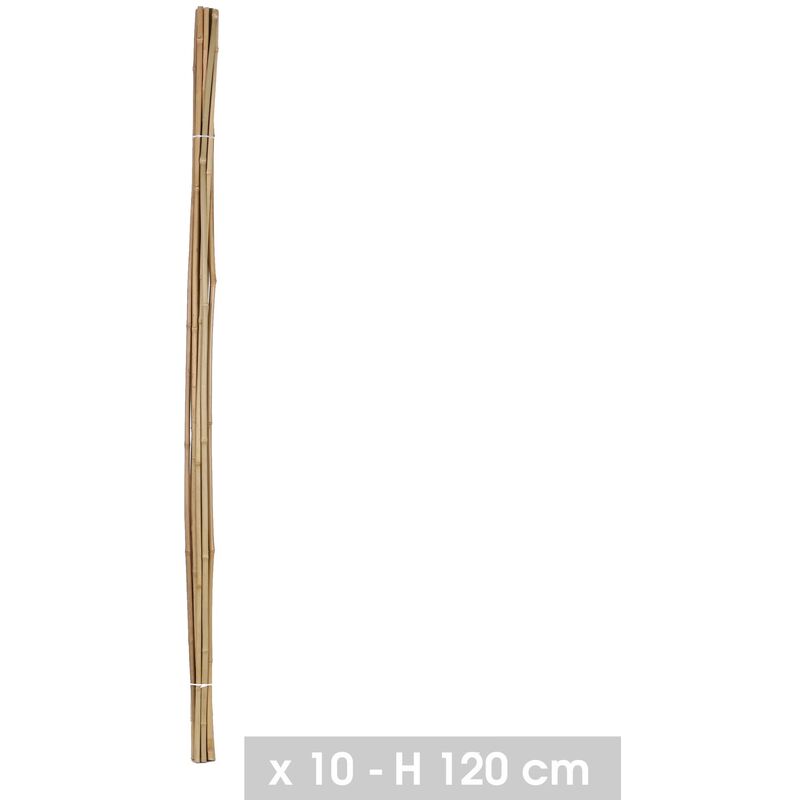 Notre Selection - Lot de 10 tuteurs en bambou H120cm x D8/10 - 16567 - Noir