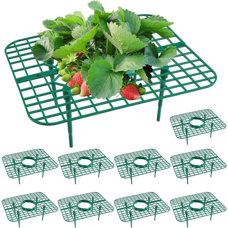 Tigrezy - Lot de 10 tuteurs pour fraisiers, support de plantation pour fraisiers, maintien des fraisiers propres