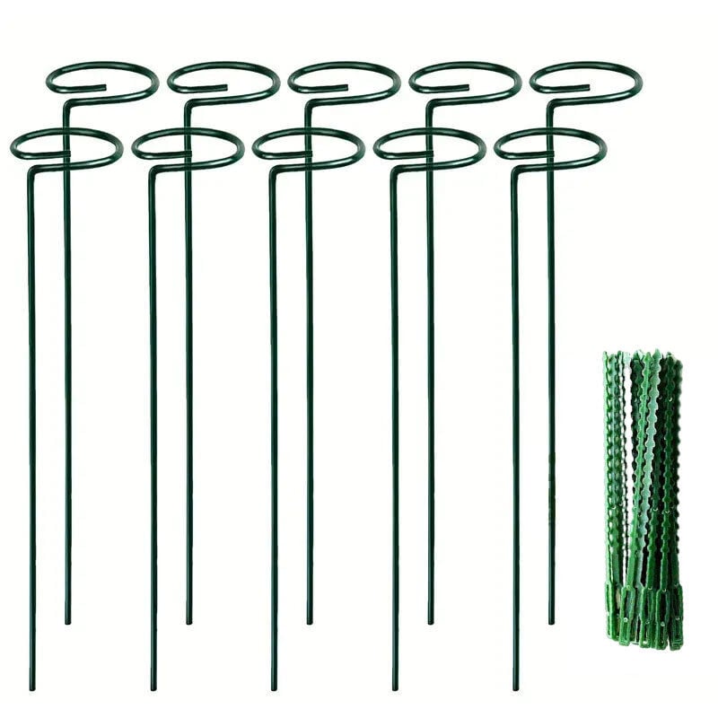Tigrezy - Lot de 10 tuteurs pour plantes, 40 cm, avec 20 attaches torsadées, pour pivoines, amaryllis, soucis, coréopsis, plants de tomates, jeunes