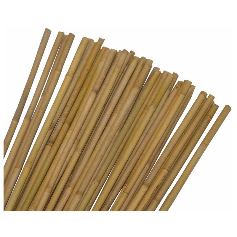 Sans Marque - Lot de 10 tuteurs pour plantes et légumes - En bambou - Hauteur : 120 cm - Brun