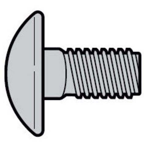 Lot De 10 Vis À Tête Bombée M6 X 14 À Collet Carré Hormann 3086084