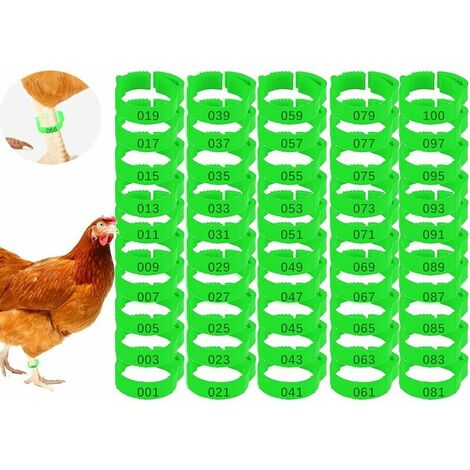Lot de 100 Anneaux pour Pieds de Poulet avec Étiquette Numérique Boucle Bague Réglables pour Jambe de Poulet,Oiseaux,Pigeons,Pinces à Oiseaux,Chevilles,Bandes de Jambe de Caille,Bandes (vert)
