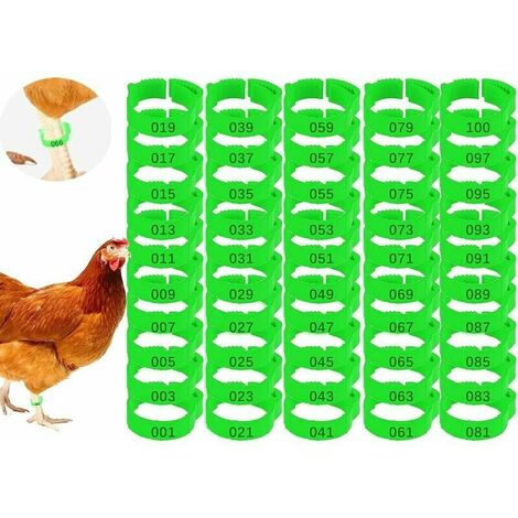 Lot de 100 Anneaux pour Pieds de Poulet avec Étiquette Numérique Boucle Bague Réglables pour Jambe de Poulet,Oiseaux,Pigeons,Pinces à Oiseaux,Chevilles,Bandes de Jambe de Caille,Bandes (vert)