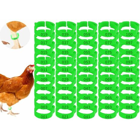 Lot de 100 Anneaux pour Pieds de Poulet avec Étiquette Numérique Boucle Bague Réglables pour Jambe de Poulet,Oiseaux,Pigeons,Pinces à Oiseaux,Chevilles,Bandes de Jambe de Caille,Bandes (vert) Lefou