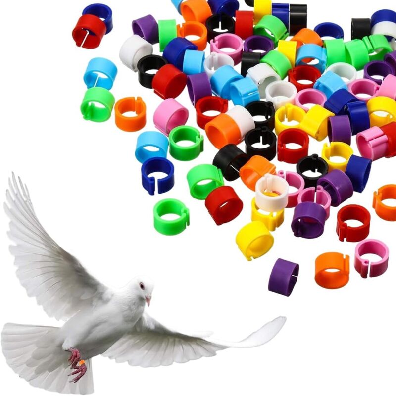 Lot de 100 bagues d'identification pour oiseaux de 8mm, adaptées aux pattes des calopsittes et des pigeons, Accessoire ludique pour décorer les