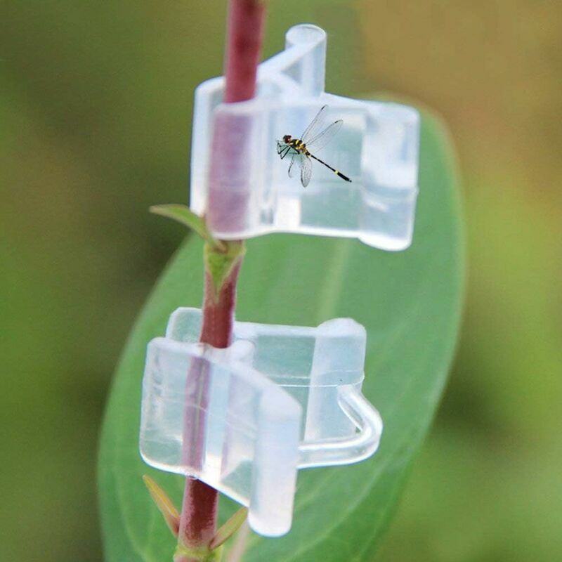 Lot de 100 clips de greffage pour plantes, supports de plantes transparents pour tomates, légumes, fleurs (transparent)
