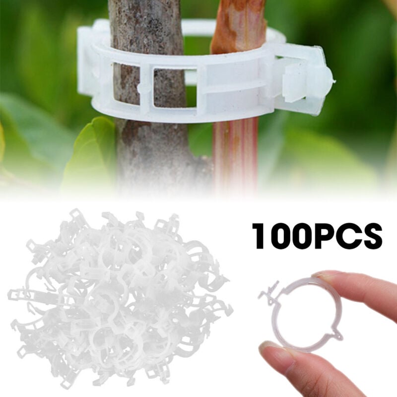 Tonchean - Lot de 100 clips de support de plantes pour légumes, tomates, et plants de vignes - Pour une croissance verticale, blanc