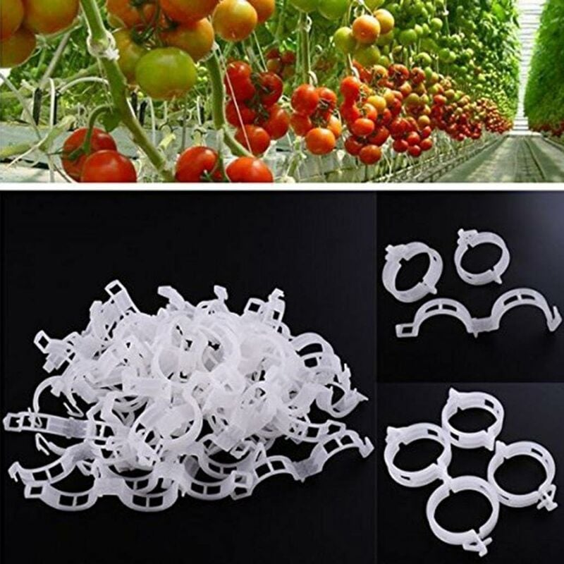 Lot de 100 clips de support de plantes pour légumes, tomates, et plants de vignes - Pour une croissance verticale et plus saine 2.6cm x 2cm blanc