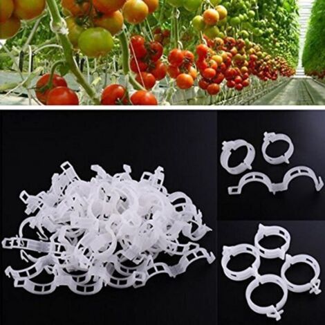 Lot de 100 clips de tuteurage blancs pour tomates - Favorise une croissance verticale saine.