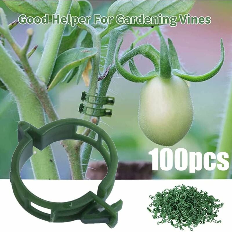 Lot de 100 pinces de support pour plantes, tomates, liens, ficelles, treillis de vigne, cages, plantes grimpantes, légumes, 2.5cm