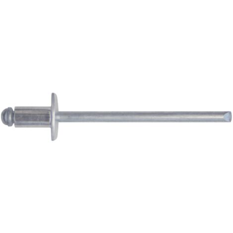 Lot de 100 rivets corps aluminium 4,8x16 mm et clou acier galvanise'