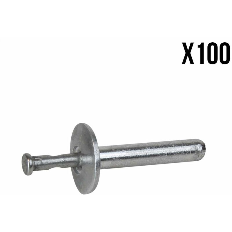 Linxor - Lot de 100 Rivets de fixation en inox 4.8 x 25 mm