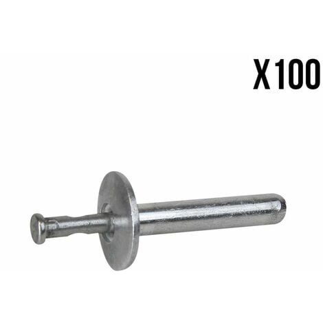 Lot de 100 Rivets de fixation en inox 4.8 x 25 mm - Linxor - Gris